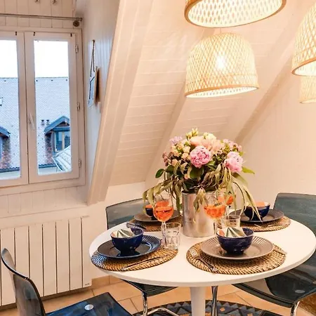 Apartment Carnot On The Roof 2 - 4 Personnes At 400m Annecy